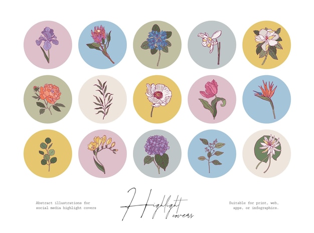 Vector set van minimale boheemse botanische illustraties voor social media highlight covers of print posters