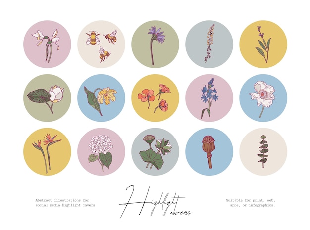 Vector set van minimale boheemse botanische illustraties voor social media highlight covers of print posters