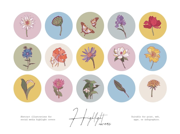 Vector set van minimale boheemse botanische illustraties voor social media highlight covers of print posters