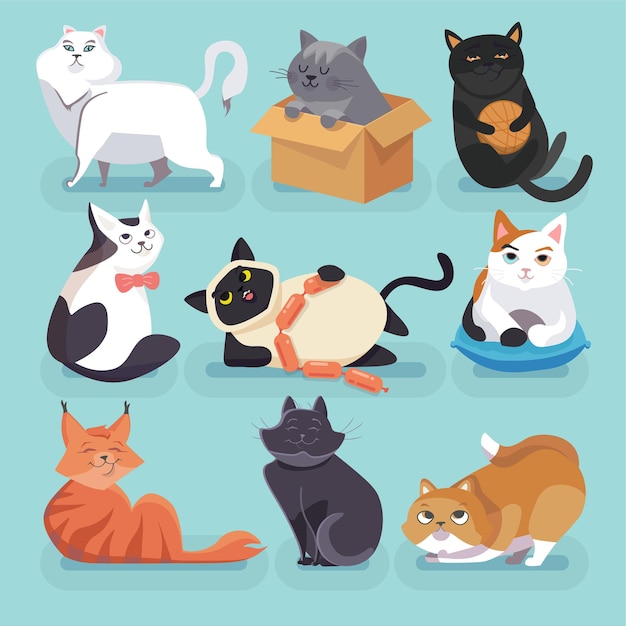 Vector set van mooie gekleurde trendy cartoon katten. verschillende rassen.