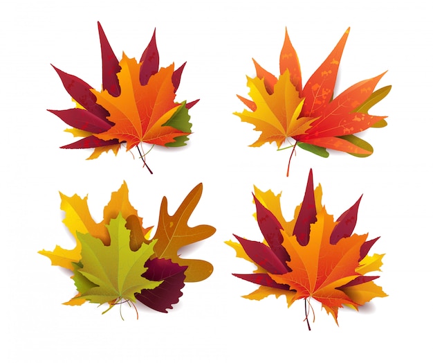 Set van mooie heldere herfstbladeren. illustratie.