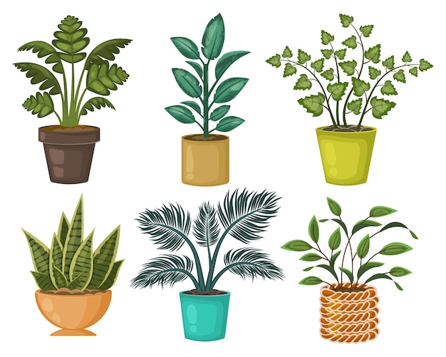 Vector set van mooie kamerplanten verzameling van verschillende planten natuurlijke botanische decoraties voor interieur vector platte cartoon illustrationx9