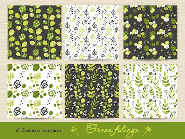 Set van naadloze patroon met groene bladeren en kruiden