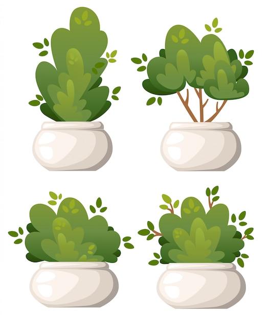 Set van natuurlijke struik- en tuinbomen in witte vaas voor park cottage en tuin illustratie op witte achtergrond websitepagina en mobiele app