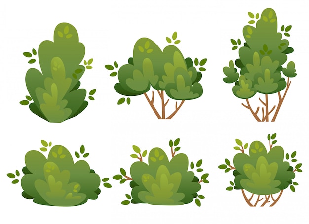 Set van natuurlijke struik en tuinbomen voor park cottage en tuin illustratie op witte achtergrond websitepagina en mobiele app