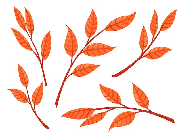 Set van oranje herfstbladeren op takken platte vectorillustratie geïsoleerd op een witte achtergrond.