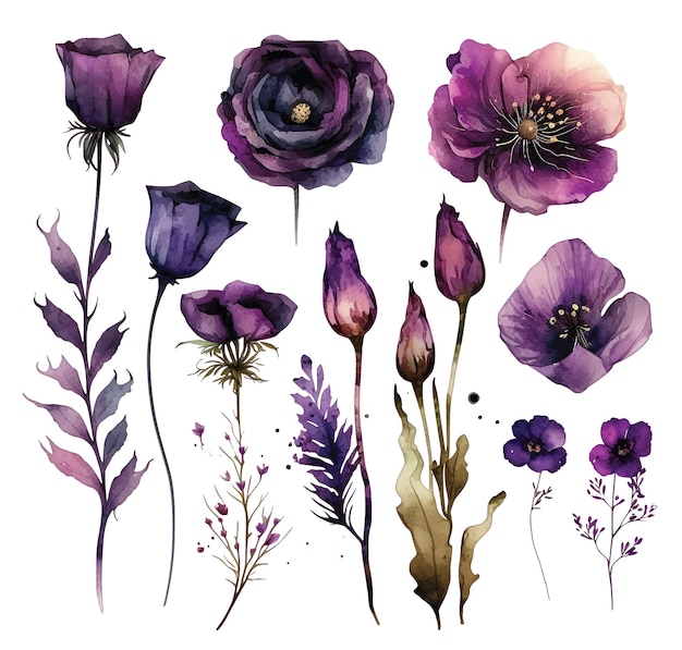 Set van paarse bloemen aquarel verf