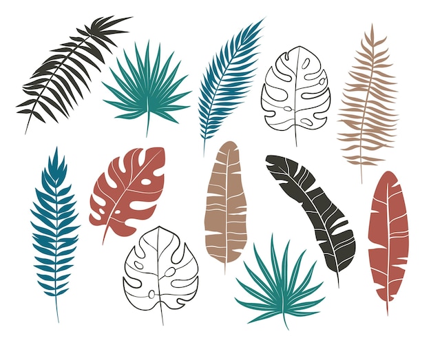 Set van palmbladeren, tropische planten, zomerillustratie