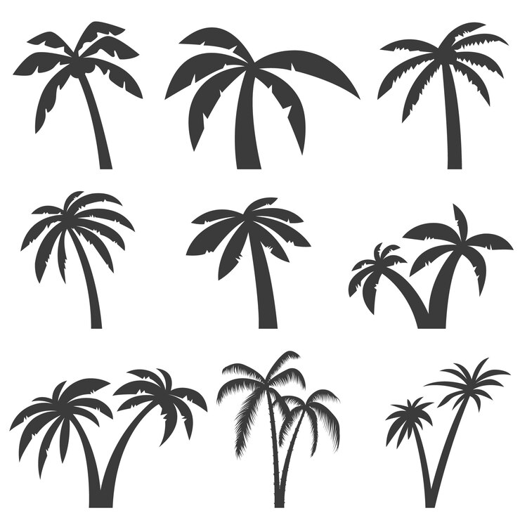 Set van palmboom iconen op witte achtergrond. elementen voor logo, label, embleem, teken, menu. illustratie.