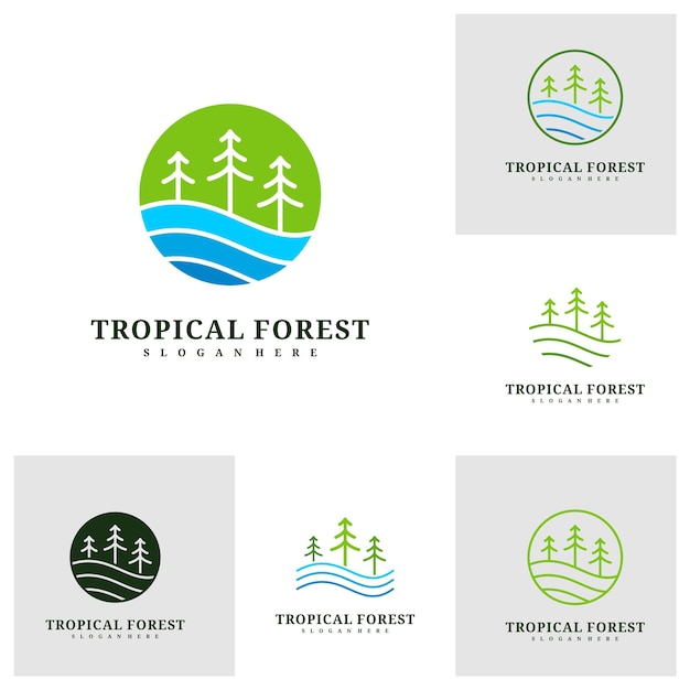 Set van Pine Tree logo ontwerp vector sjabloon Tropisch bos logo concepten illustratie