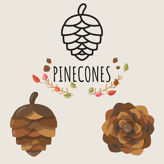 Set van pinecones ontwerp.