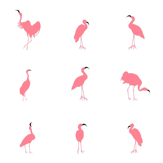 Set van prachtige gekleurde vectorillustraties van flamingo's in verschillende poses