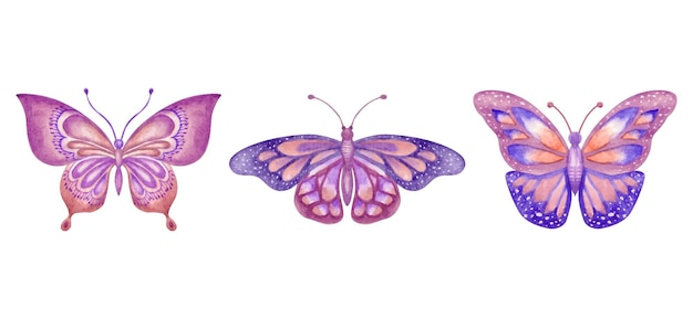 Set van prachtige handgetekende aquarel vlinders collectie