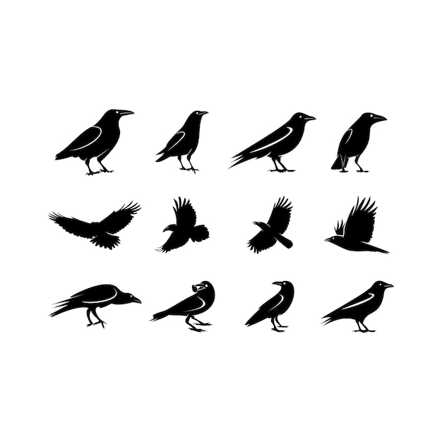 Set van raven. Een verzameling zwarte kraaien logo vector