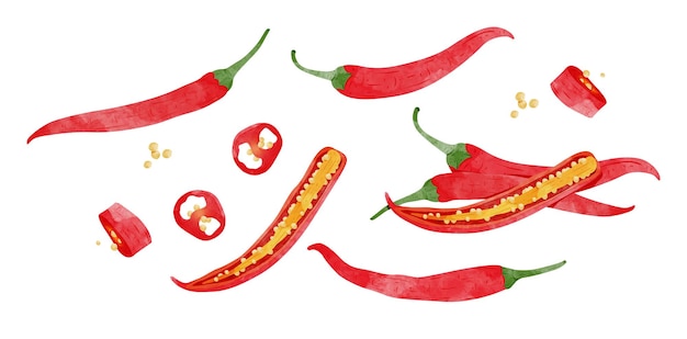 Set van rode chili peper met bladeren ontwerp elementen aquarel stijl vectorillustratie