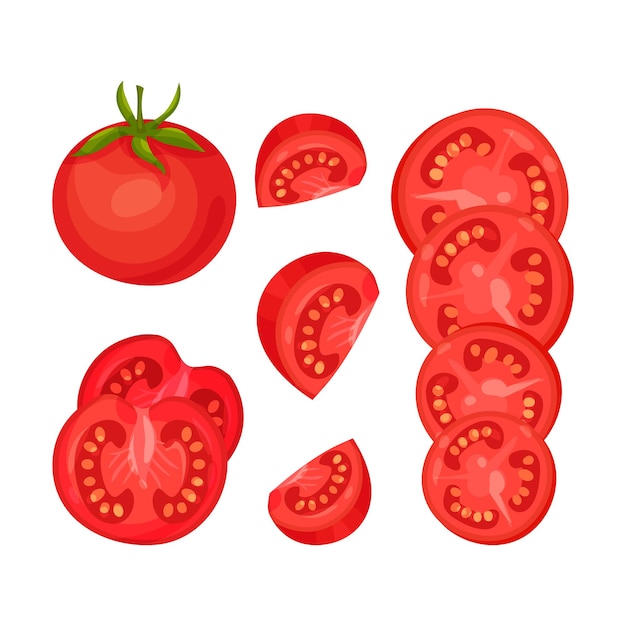 Set van rode rijpe tomaten Hele halve kwart segment Vectorillustratie op witte achtergrond