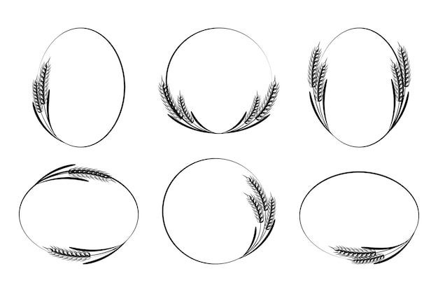 Set van ronde abstracte iconen van oren van tarwe. Logo, pictogram, sjabloon, decorelement, vector