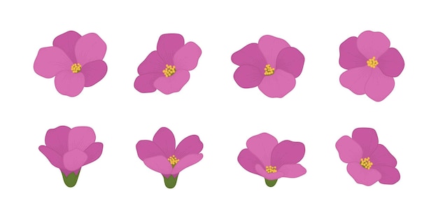 Set van roze bloeiende bloemen illustratie