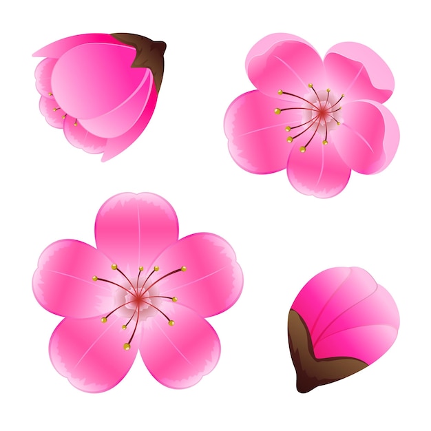Vector set van roze bloemen geïsoleerd op een witte achtergrond, illustratie.
