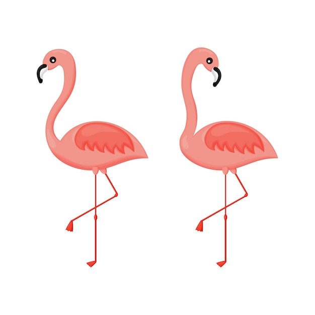 Set van roze flamingo's geïsoleerd. vector illustratie.