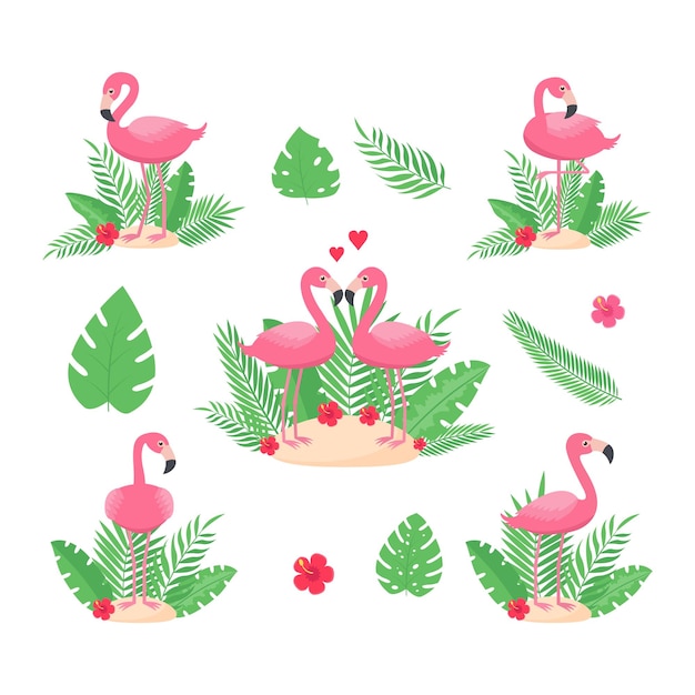 Set van roze flamingo&#39;s met verschillende houdingen