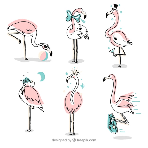 Set van roze flamingo's met verschillende houdingen