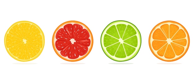 Set van sappige citrusschijfjes voorraad vectorillustratie citroen sinaasappel grapefruit limoen pictogrammen heldere kleurrijke geïsoleerde elementen op witte achtergrond voor creatieve ontwerpen logo's stickers