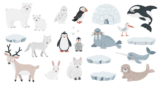 Set van schattige arctische dieren in platte cartoon stijl Wilde polaire fauna ontwerpelementen voor afdrukken