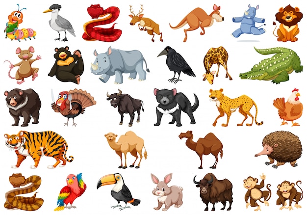 Set van schattige dieren