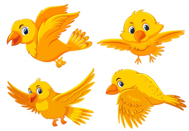 Vector set van schattige gele vogels