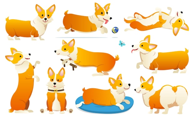 Set van schattige honden fokken Welsh Corgi Pembroke op witte achtergrond een huisdier een gelukkig koninklijk dier voor meisjes grappige roodharige puppy ziet eruit als een vos vectorillustratie