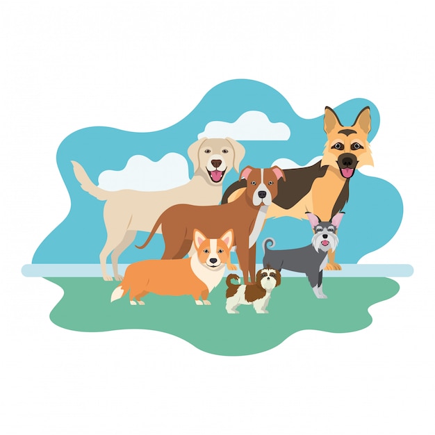 Vector set van schattige honden op wit