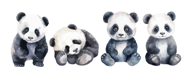 Vector set van schattige panda beer aquarel geïsoleerd op witte achtergrond vectorillustratie