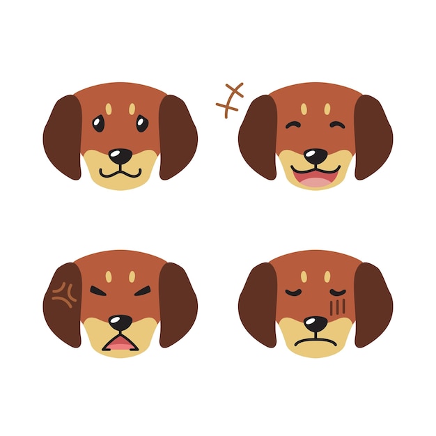 Set van schattige personage dachshund hond gezichten tonen verschillende emoties