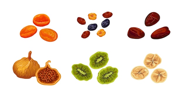 Set van smakelijke en zoete gedroogde vruchten op witte achtergrond Vector gedroogde perzik rozijnen datum vijgen kiwi en banaan in cartoon stijl