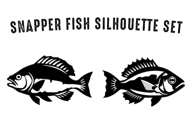 Set van snapper fish silhouet vectorillustratie zwarte silhouetten van visbundel