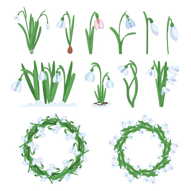 Set van Snowdrop bloemen en kransen geïsoleerd op wit Spring Blossoms Bloom Floral Design elementen voor uitnodiging