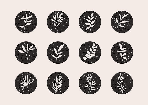 Set van sociale media-verhalen benadrukt grafische handgetekende illustraties met botanische bontprint