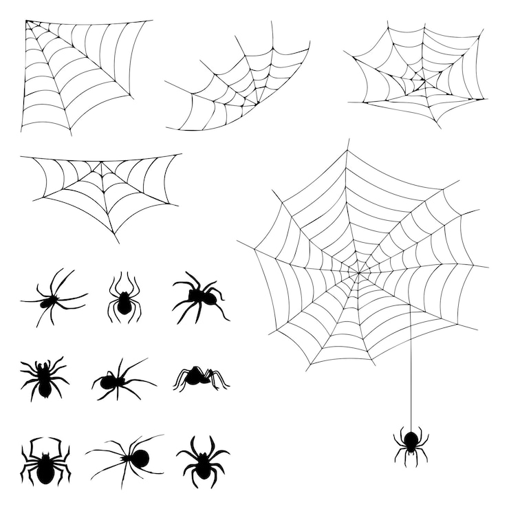 Vector set van spinnenweb en spinnen geïsoleerd op een witte achtergrond