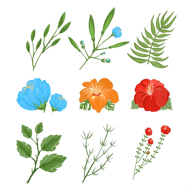 Set van traditionele en tropische bloemen