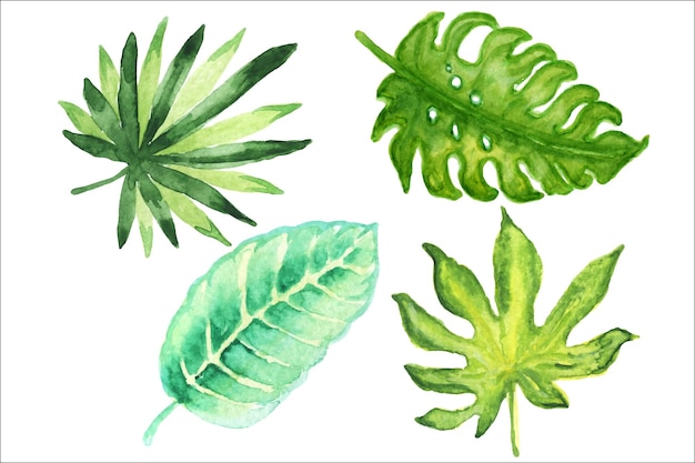 Set van tropische aquarel bladeren, groene gebladerte tropen palmboom.