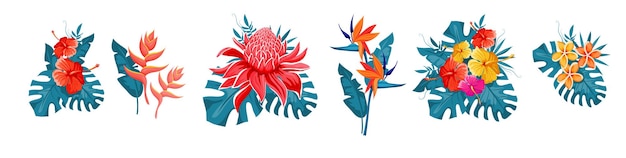 Set van tropische bloemen, exotische collectie met monstera bladeren. Hibiscus, plumeria, paradijsvogel