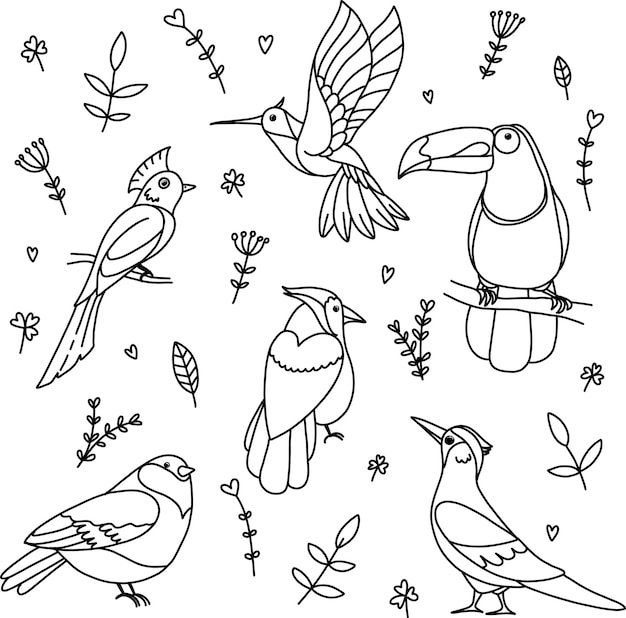 Set van tropische fantasie paradijsvogels in een doodle-stijl met bloemen- en plantpatronen