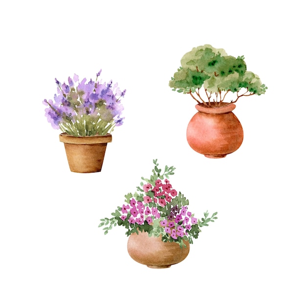 set van tuin bloemen in potten en planten aquarel illustratie geïsoleerd op een witte achtergrond