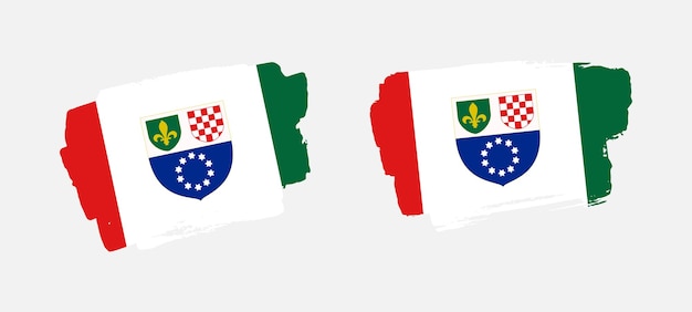 Vector set van twee handgeschilderde federatie van bosnië en herzegovina borstel vlag illustratie