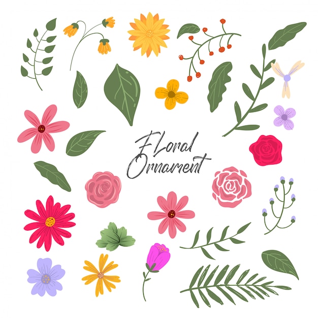 Vector set van vector bloemen & bloem ornament