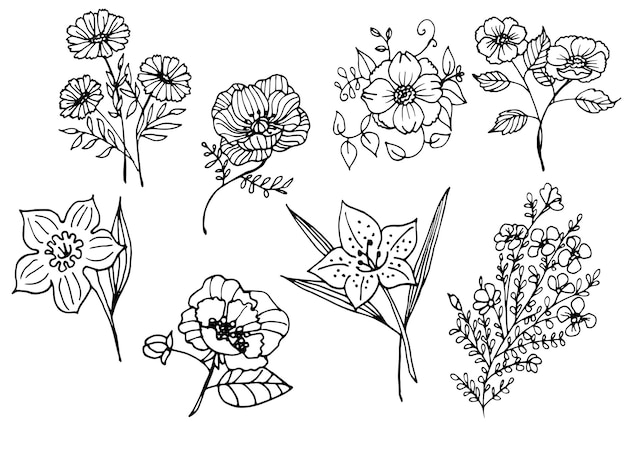 set van vector lijn illustraties van bloemen