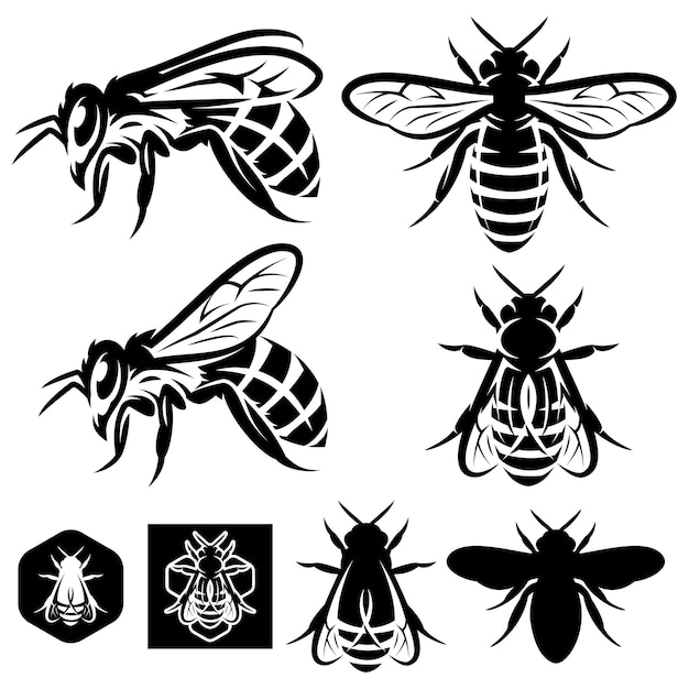 Set van vector monochrome sjablonen met bijen van verschillende soorten