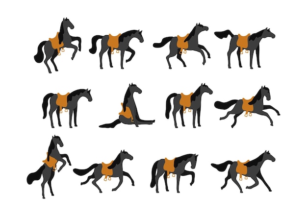 Set van vector paarden geïsoleerd op een witte achtergrond. Collectie van raszuivere volbloed paarden in platte moderne stijl. Vector illustratie