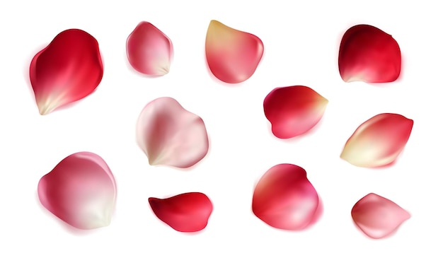 Set van vector realistische rozenblaadjes decoratie voor bruiloften en feestdagen